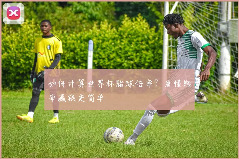 如何计算世界杯赌球倍率？看懂赔率赢钱更简单