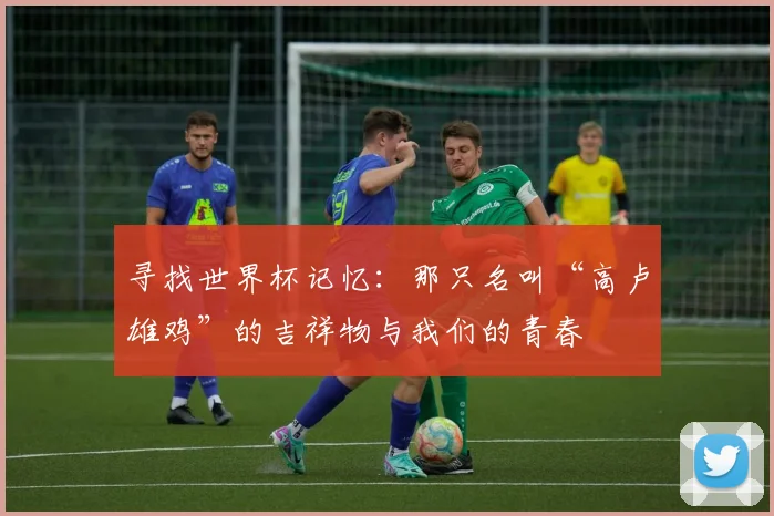 寻找世界杯记忆:那只名叫“高卢雄鸡”的吉祥物与我们的青春