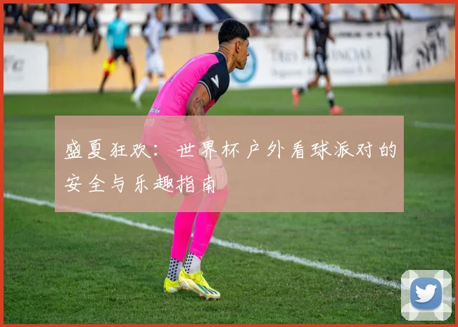 盛夏狂欢：世界杯户外看球派对的安全与乐趣指南